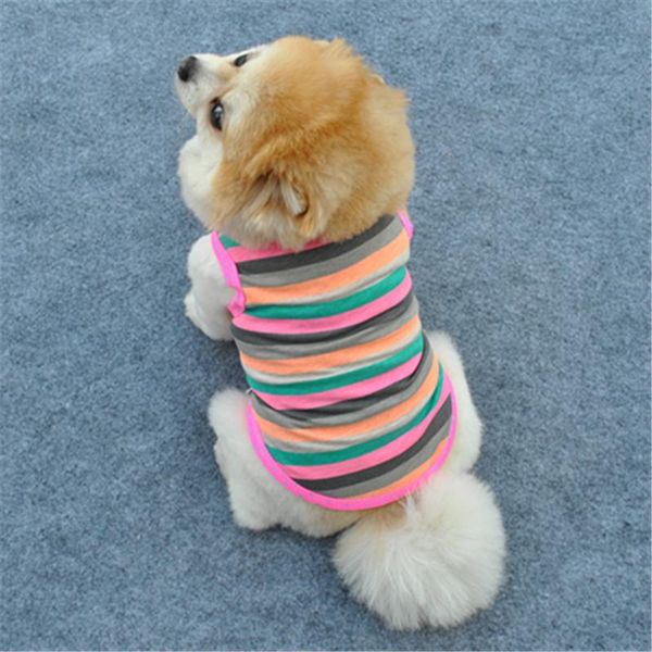 dog apparel cat clothes summer clothing chihuahua yorkie yorkshire small costume vest puppy outfit coat
dog apparel cat clothes summer clothing chihuahua yorkie yorkshire small costume vest puppy outfit coat