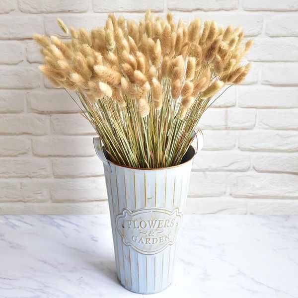 decorative flowers & wreaths 30pcs tail grass natural dried lagurus ovatus real bouquet wedding home decoration ornaments diy xmas de
decorative flowers & wreaths 30pcs tail grass natural dried lagurus ovatus real bouquet wedding home decoration ornaments diy xmas de