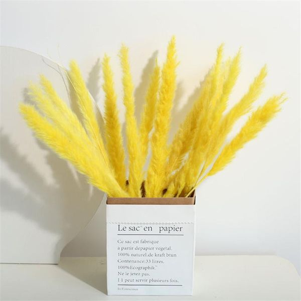 decorative flowers & wreaths 15pcs natural bulrush grass artificial pampas dried decoração bouquet home wedding living room christmas decora
decorative flowers & wreaths 15pcs natural bulrush grass artificial pampas dried decoração bouquet home wedding living room christmas decora