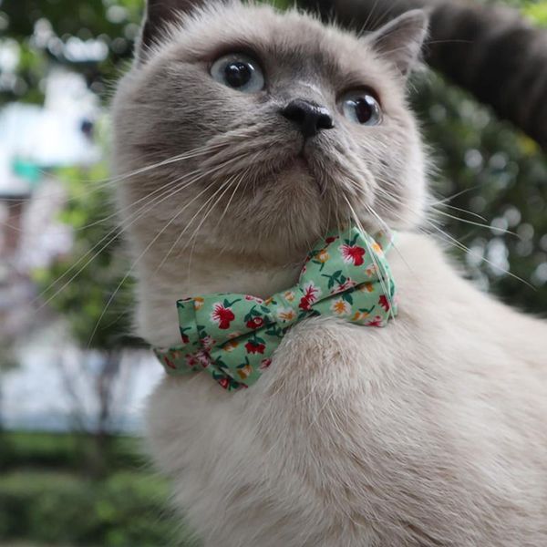 cat collars & leads animal pet accessories kittens removable bowknot puppy collar lovely flowers pattern cats necklaces supplies for
cat collars & leads animal pet accessories kittens removable bowknot puppy collar lovely flowers pattern cats necklaces supplies for