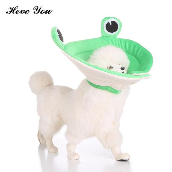 heve you pet collar frog elizabeth for dogs soft recovery dog neck wound healing prevent puppy lick collars & leashes
heve you pet collar frog elizabeth for dogs soft recovery dog neck wound healing prevent puppy lick collars & leashes