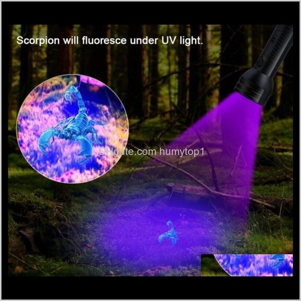 flashlights torches uv 51led flashlight 51 leds 395nm ultra violet torch light lamp blacklight detector for dog urine pet stains and b tn85z
flashlights torches uv 51led flashlight 51 leds 395nm ultra violet torch light lamp blacklight detector for dog urine pet stains and b tn85z