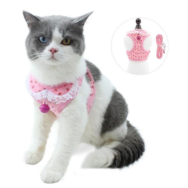 cat collars & leads breathable comfortable not strangling lovely small dog harness soft mesh cute printed collar with leash for outdoor
cat collars & leads breathable comfortable not strangling lovely small dog harness soft mesh cute printed collar with leash for outdoor