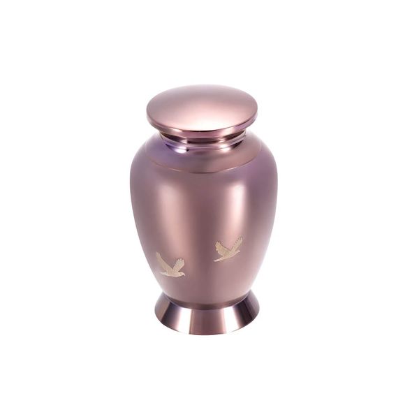stainless steel rose gold cremation urn pendant urn, with bird pattern ashes jar,can store ashes to commemorate father, mother, daughter, so, Silver
stainless steel rose gold cremation urn pendant urn, with bird pattern ashes jar,can store ashes to commemorate father, mother, daughter, so, Silver