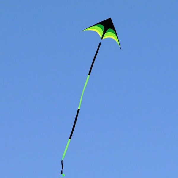 large delta kites tails with handle outdoor toys for kids nylon ripsalbatross kite factory party favor
large delta kites tails with handle outdoor toys for kids nylon ripsalbatross kite factory party favor