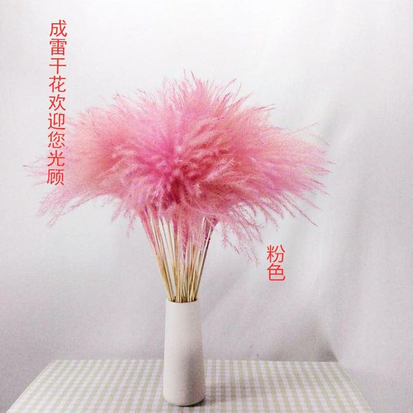 decorative flowers & wreaths 10pcs natural pampas grass decor flower dried plants wedding bunch christmas home pink white phragmites communi
decorative flowers & wreaths 10pcs natural pampas grass decor flower dried plants wedding bunch christmas home pink white phragmites communi