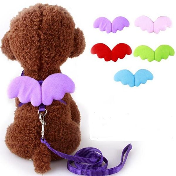 dog collars & leashes angel wing nylon pet and set puppy leads for small dogs cat designer adjustable harness accessories
dog collars & leashes angel wing nylon pet and set puppy leads for small dogs cat designer adjustable harness accessories