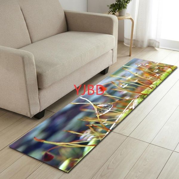 carpets kitchen sofa wardrobe shoe cabinet strip mat for living room rugs and home area rug bedroom
carpets kitchen sofa wardrobe shoe cabinet strip mat for living room rugs and home area rug bedroom