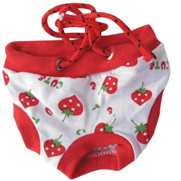 dog apparel female pet physiological menstrual hygiene pants soft pure cotton summer shorts cute underwear for estrus
dog apparel female pet physiological menstrual hygiene pants soft pure cotton summer shorts cute underwear for estrus