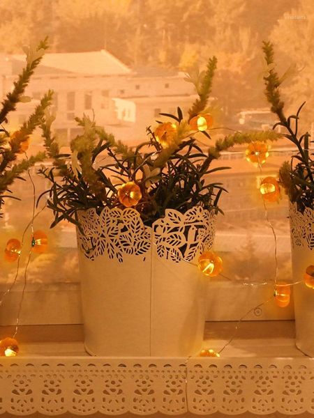 christmas decorations 3m led halloween pumpkin lantern string light outdoor 30 cute little lights decoration pendant garden garland
christmas decorations 3m led halloween pumpkin lantern string light outdoor 30 cute little lights decoration pendant garden garland