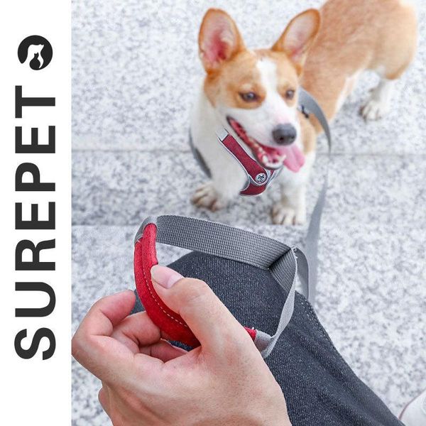 dog chest strap pet supplies small and medium-sized vest strong leash collars & leashes
dog chest strap pet supplies small and medium-sized vest strong leash collars & leashes