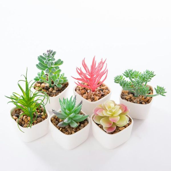 decorative flowers & wreaths mini plastic small square cups green artificial succulent plants for garden home decoration
decorative flowers & wreaths mini plastic small square cups green artificial succulent plants for garden home decoration