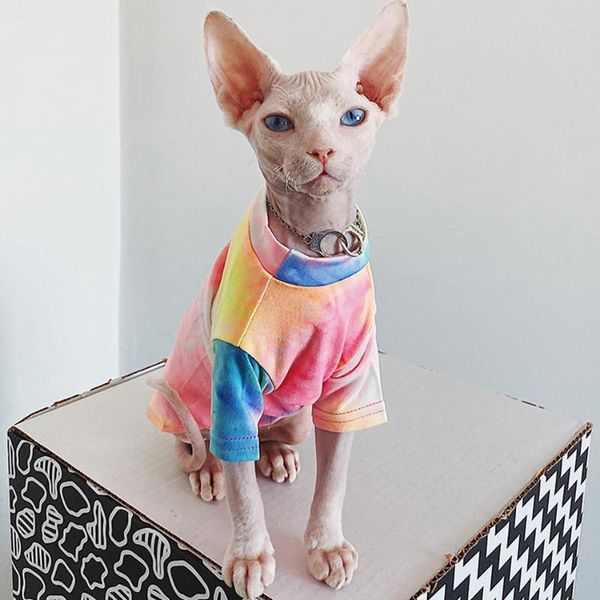 cat costumes sphynx clothes cotton rainbow colorful t shirt for sphinx kitten fashion summer sphinksu clothing jacket suit
cat costumes sphynx clothes cotton rainbow colorful t shirt for sphinx kitten fashion summer sphinksu clothing jacket suit