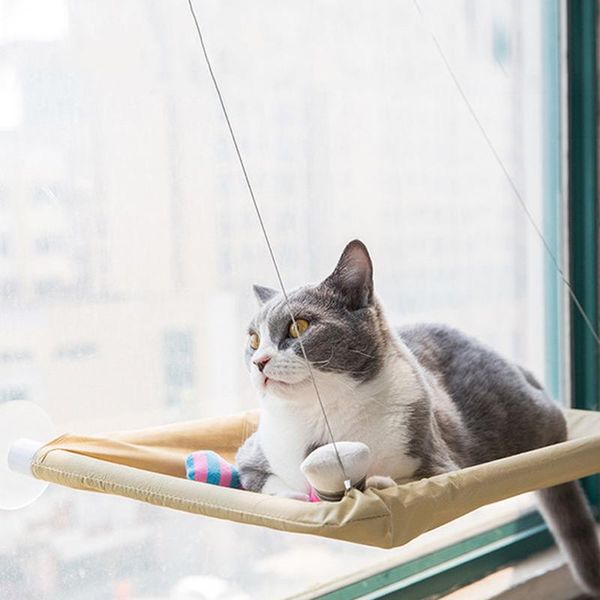 cat beds & furniture cats hammock suction window wall mounted hanging bed kitten resting sunny seat e2s
cat beds & furniture cats hammock suction window wall mounted hanging bed kitten resting sunny seat e2s