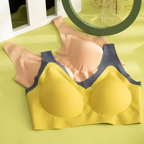 bras seamless gathers -proof thin pad push up underwear solid women intimate bralette plus size lingerie, Red;black
bras seamless gathers -proof thin pad push up underwear solid women intimate bralette plus size lingerie, Red;black