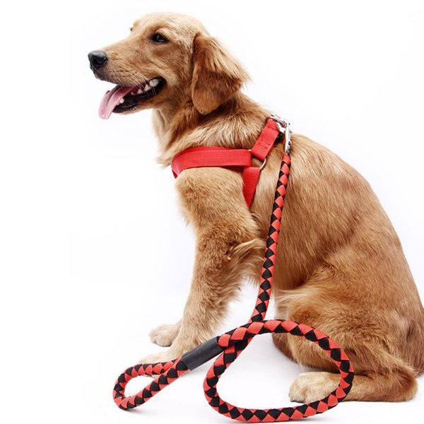 dog collars & leashes adjustable puppy outdoor walking leads for small medium dogs pet traction rope accessories cat harness leash
dog collars & leashes adjustable puppy outdoor walking leads for small medium dogs pet traction rope accessories cat harness leash
