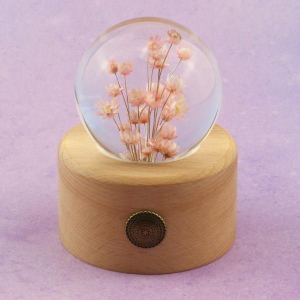 novelty items natural red daisy flowers specimen crystal glass resin lens ball with stand christmas mom girlfriend gift home decoration glob
novelty items natural red daisy flowers specimen crystal glass resin lens ball with stand christmas mom girlfriend gift home decoration glob