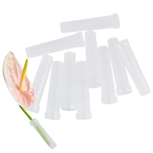 lab supplies 4-30ml flowers nutrition tube plastic test tubes with cap translucent round mouth floral water storage pipes liquid container
lab supplies 4-30ml flowers nutrition tube plastic test tubes with cap translucent round mouth floral water storage pipes liquid container