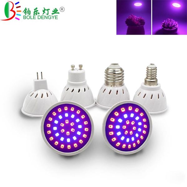 full spectrum e27 220v led plant grow light bulb fitolampy phyto lamp for indoor garden plants flower hydroponics tent box lights
full spectrum e27 220v led plant grow light bulb fitolampy phyto lamp for indoor garden plants flower hydroponics tent box lights