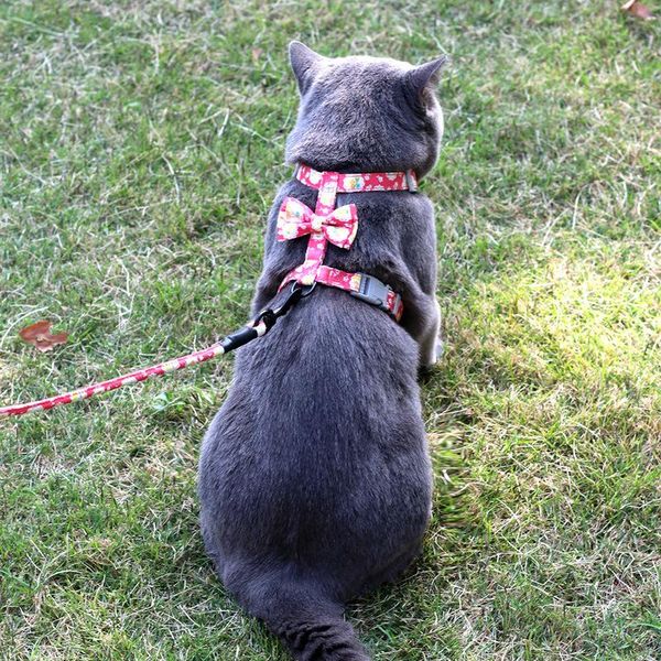 cat collars & leads japanese style collar and leash set cute print for cats adjustable kitten harness vest lead traction
cat collars & leads japanese style collar and leash set cute print for cats adjustable kitten harness vest lead traction