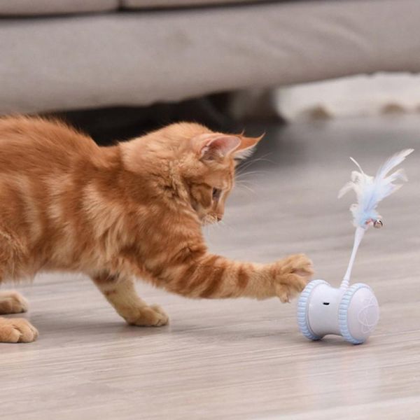 cat toys pet feather smart electric balance car funny toy electronic automatic teaser
cat toys pet feather smart electric balance car funny toy electronic automatic teaser