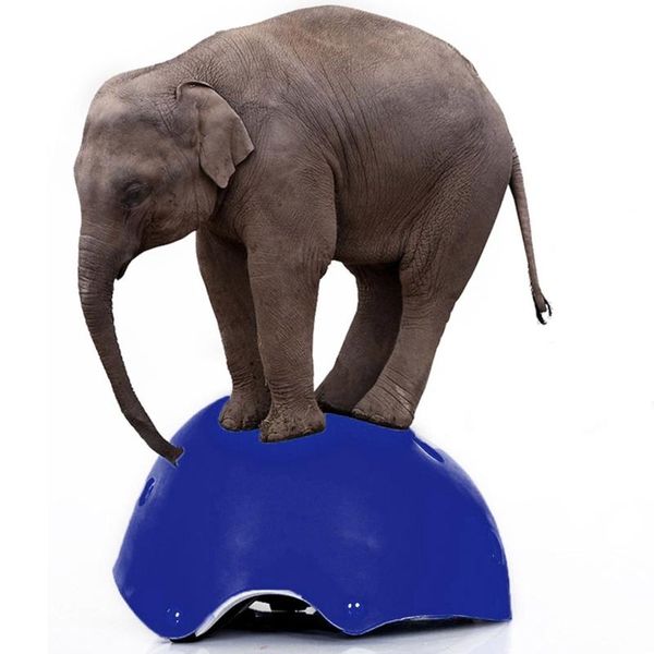 cycling helmets kids safety riding helmet children scooter skateboard skate headgear cap x3ua
cycling helmets kids safety riding helmet children scooter skateboard skate headgear cap x3ua