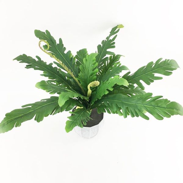 decorative flowers & wreaths 55cm 21 head silk fern leaf large artificial plants bouquet tropical tree fake persian leaves green grass for h
decorative flowers & wreaths 55cm 21 head silk fern leaf large artificial plants bouquet tropical tree fake persian leaves green grass for h