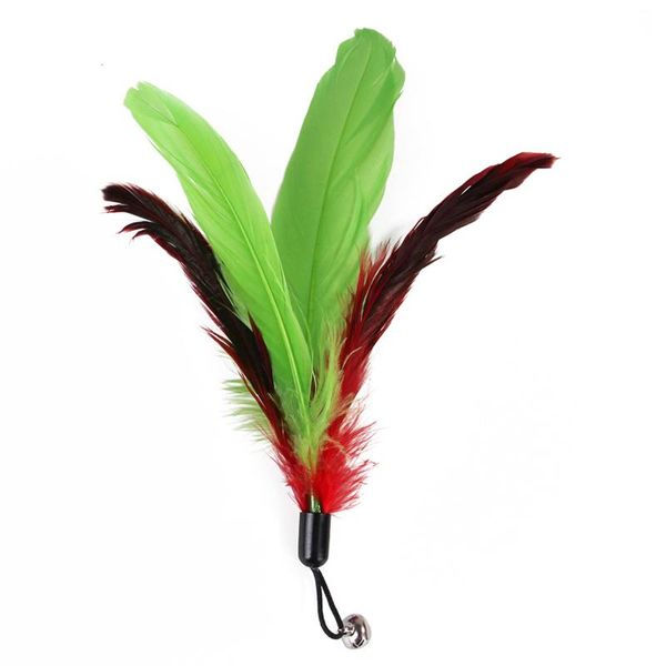 cat toys 11pc feather teaser toy interactive catcher 1 retractable wand & 10 replacement refills with bell
cat toys 11pc feather teaser toy interactive catcher 1 retractable wand & 10 replacement refills with bell