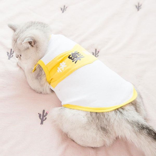 cat clothes pet cute kitten thin vest spring and summer anti-hair loss blue garfield breathable comfortable costumes
cat clothes pet cute kitten thin vest spring and summer anti-hair loss blue garfield breathable comfortable costumes