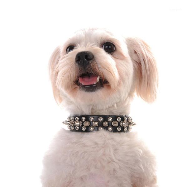 dog collars & leashes cool rivet collar for dogs cats studded pet sharp spiked leather1
dog collars & leashes cool rivet collar for dogs cats studded pet sharp spiked leather1