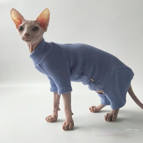 hairless cat clothes knitwear base shirt air conditioning devon rex sphinx super elastic costumes
hairless cat clothes knitwear base shirt air conditioning devon rex sphinx super elastic costumes