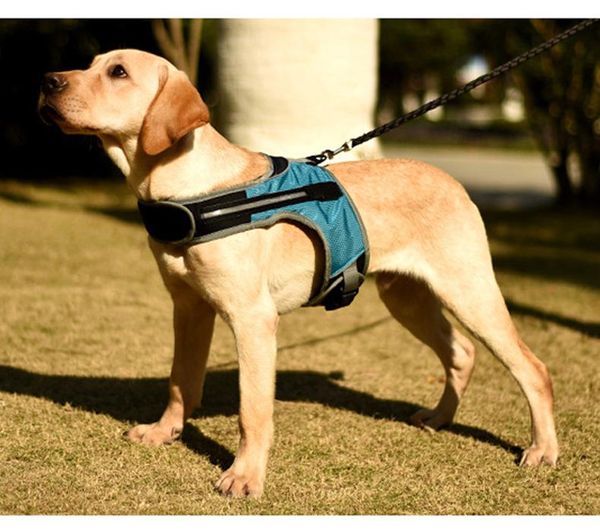 dog collars & leashes led luminous harness pet collar safety reflective vest for husky shepherd labrador medium large dogs supplies
dog collars & leashes led luminous harness pet collar safety reflective vest for husky shepherd labrador medium large dogs supplies