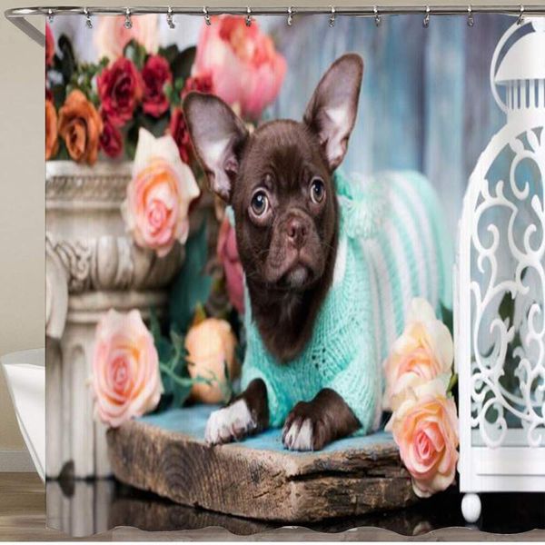shower curtain,domestic whelp chihuahua carnivore lovely surprised dwarfish puppy animals wildlife,polyester fabric waterproof
shower curtain,domestic whelp chihuahua carnivore lovely surprised dwarfish puppy animals wildlife,polyester fabric waterproof