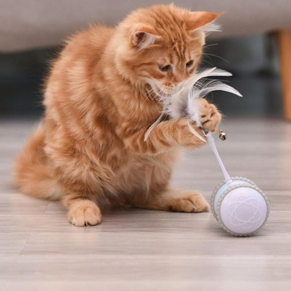 cat toys intelligent electric funny stick irregular rotation mode protection feather led luminous toy pet products
cat toys intelligent electric funny stick irregular rotation mode protection feather led luminous toy pet products
