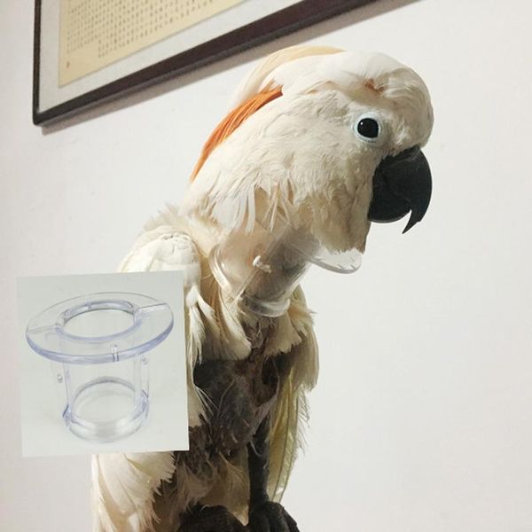 dog collars & leashes bird acrylic tube collar for severe parrot feather plucking neckband restricts neck movement
dog collars & leashes bird acrylic tube collar for severe parrot feather plucking neckband restricts neck movement