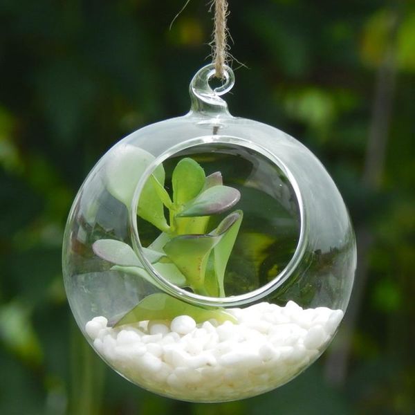 novelty items small packing glass terrarium vase diameter=8cm 10cm 12cm 15cm ball with a little higher open wedding prop
novelty items small packing glass terrarium vase diameter=8cm 10cm 12cm 15cm ball with a little higher open wedding prop