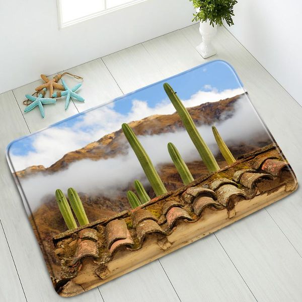 bath mats tropical plant cactus mat non-slip kitchen floor water absorption living room bedroom door pad balcony carpet washable
bath mats tropical plant cactus mat non-slip kitchen floor water absorption living room bedroom door pad balcony carpet washable