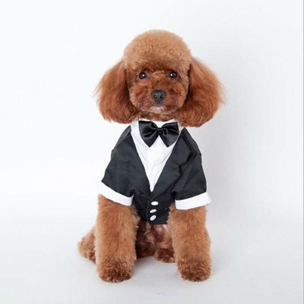 dog apparel pet cat puppy clothes wedding suit tuxedo costume collared shirt xs s m l xl bow tie coat
dog apparel pet cat puppy clothes wedding suit tuxedo costume collared shirt xs s m l xl bow tie coat