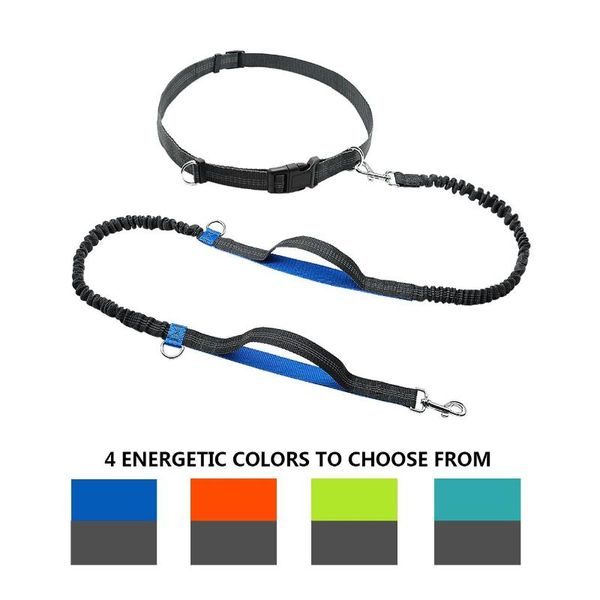 dog collars & leashes hands leash dual handle running absorbing extendible reflective stitching adjustable waist belt pl002
dog collars & leashes hands leash dual handle running absorbing extendible reflective stitching adjustable waist belt pl002