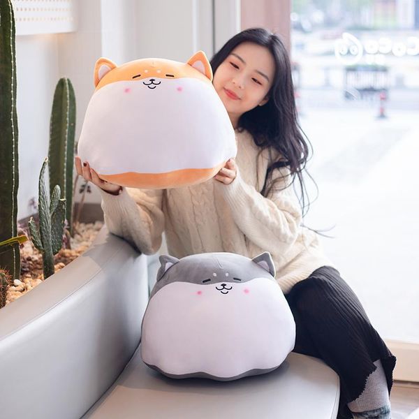 cushion/decorative pillow cute fat round pudding shiba inu dog plush grey husky hug plushie office decor cushion birthday gift for boy prese
cushion/decorative pillow cute fat round pudding shiba inu dog plush grey husky hug plushie office decor cushion birthday gift for boy prese
