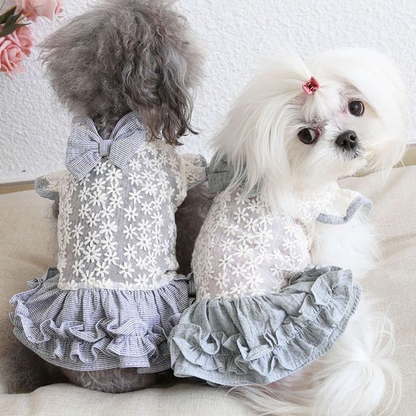 the dog clothes petstyle 20 spring and summer full embroidered daisy republic of china dog dress cat
the dog clothes petstyle 20 spring and summer full embroidered daisy republic of china dog dress cat