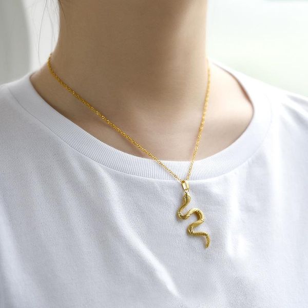 hip hop snake necklace for women men collares stainless steel animal pendant punk choker jewellery bijoux femme 2021 necklaces, Silver
hip hop snake necklace for women men collares stainless steel animal pendant punk choker jewellery bijoux femme 2021 necklaces, Silver
