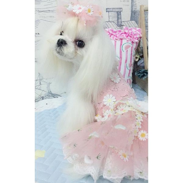 dog apparel onnpnnq pet cat black/pink necklace lace flower collar princess hair clip for puppy accessories
dog apparel onnpnnq pet cat black/pink necklace lace flower collar princess hair clip for puppy accessories