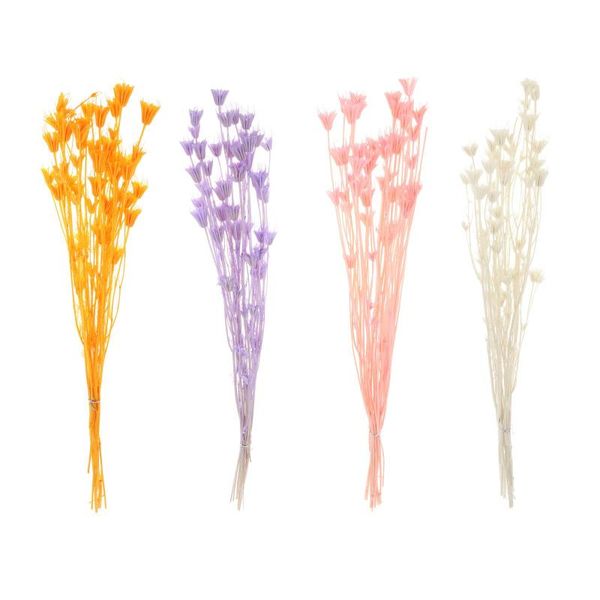 decorative flowers & wreaths dried star anise flower bouquet, natural branch for diy wreath bouquet home office party wedding decorations
decorative flowers & wreaths dried star anise flower bouquet, natural branch for diy wreath bouquet home office party wedding decorations