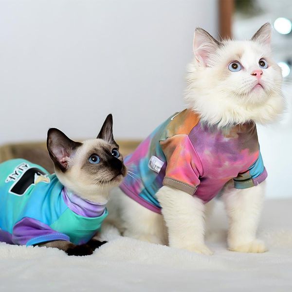 cat costumes pet clothing deven hairless clothes sphinx cotton t-shirt dye rainbow spring autumn
cat costumes pet clothing deven hairless clothes sphinx cotton t-shirt dye rainbow spring autumn
