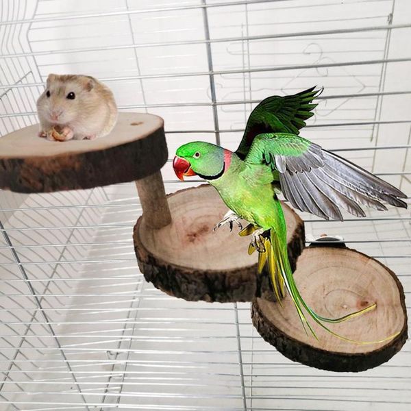 other bird supplies wooden ladder mini parrot hamster climbing stair pet perches stand platform toy
other bird supplies wooden ladder mini parrot hamster climbing stair pet perches stand platform toy