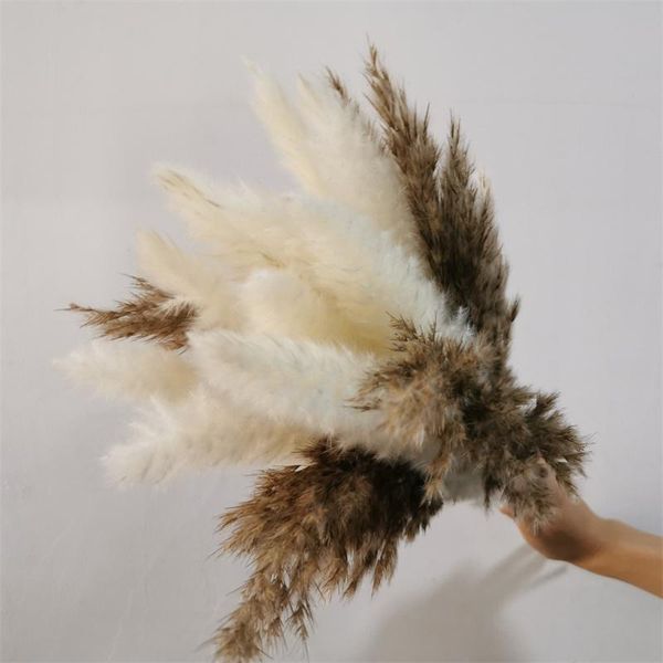 decorative flowers & wreaths wedding decoration accessories fleurs artificielles plants cortaderia stapf dry flower pompass bouquet pampas g
decorative flowers & wreaths wedding decoration accessories fleurs artificielles plants cortaderia stapf dry flower pompass bouquet pampas g