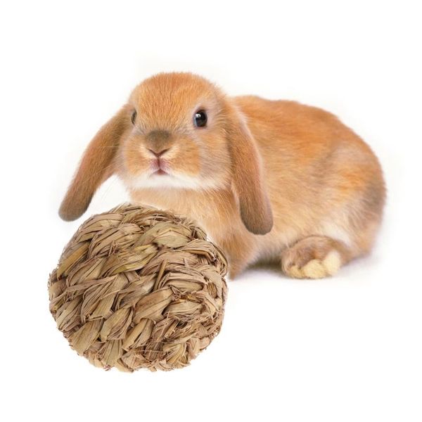 small animal supplies 27rf 10cm pet chew toy woven grass ball with bell for hamster chinchillas
small animal supplies 27rf 10cm pet chew toy woven grass ball with bell for hamster chinchillas