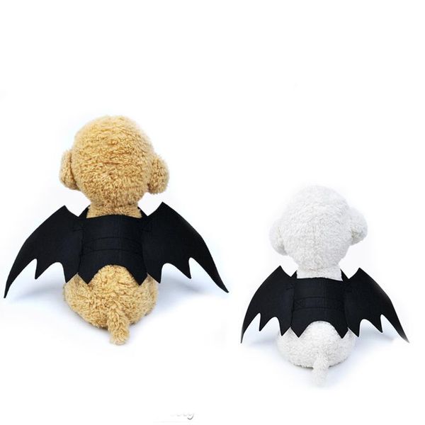 puppy dog cat clothes costumes halloween pet bat vampire black cute fancy dress up costume
puppy dog cat clothes costumes halloween pet bat vampire black cute fancy dress up costume