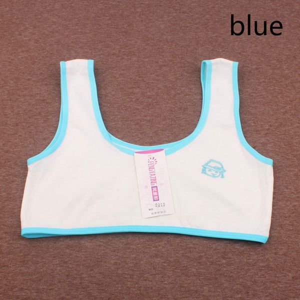 Teenage bra for kids Lingerie Brassiere Sport Maiden Girl Comfy Underwear Bra Cotton Vest Wrapped Chest top, Watermelonred
Teenage bra for kids Lingerie Brassiere Sport Maiden Girl Comfy Underwear Bra Cotton Vest Wrapped Chest top, Watermelonred